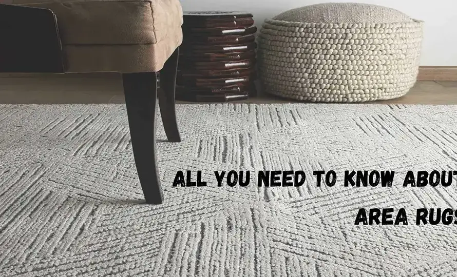 Find The Perfect Area Rug