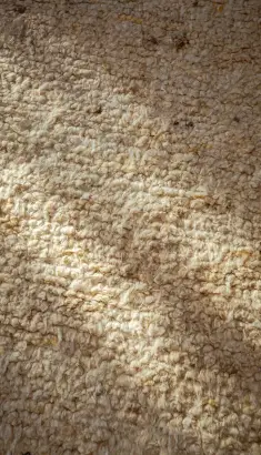 JAVI-home-handmade-rugs-from-india-3.jpg